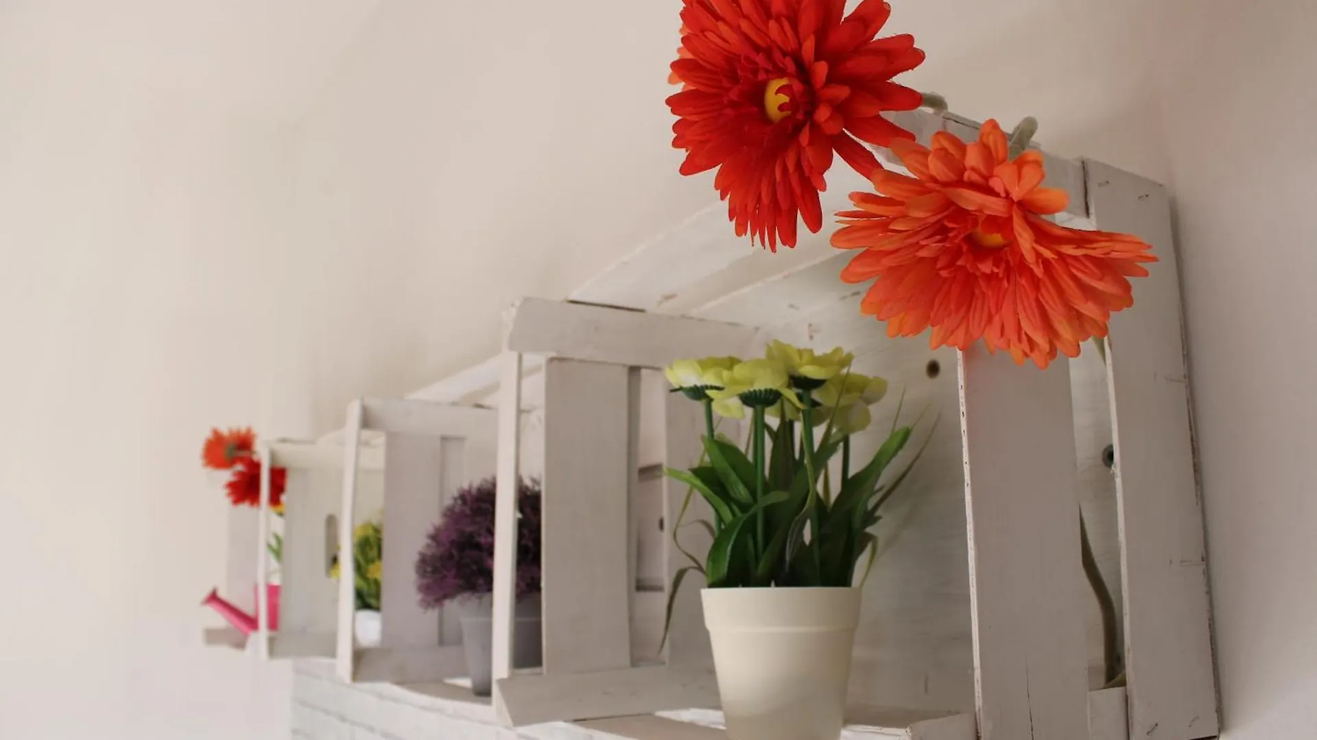 Civico 26 Guest House Treviso Italy